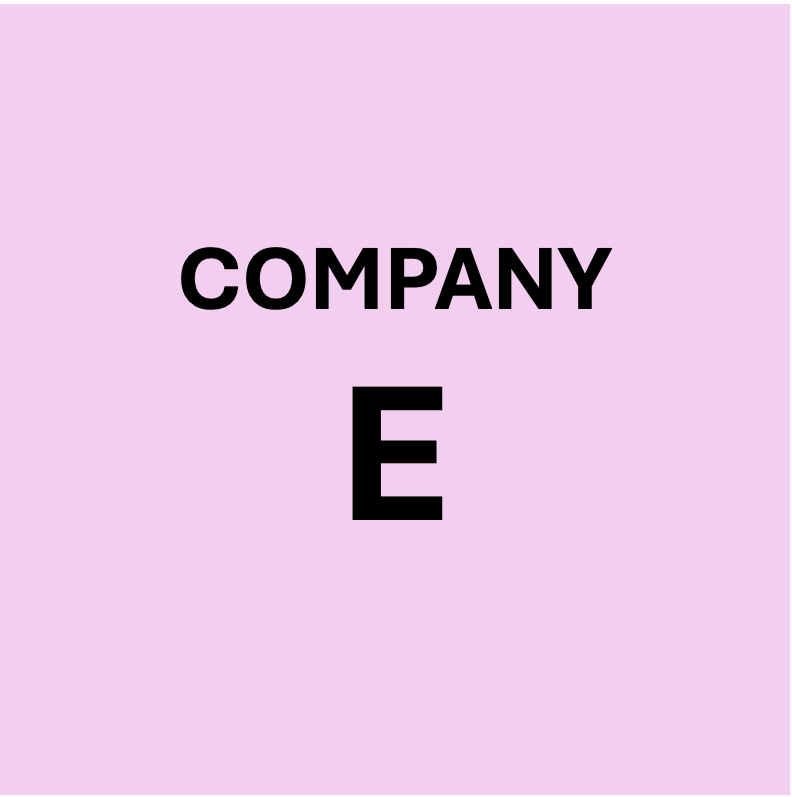 COMPANY E
